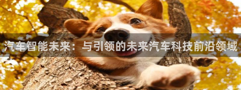 新宝5平台注册资金