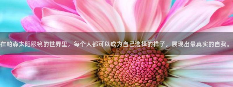 新宝5平台霸