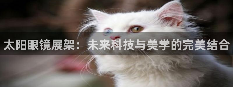 新宝5策略