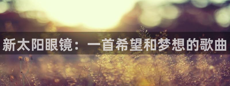 新宝5测试