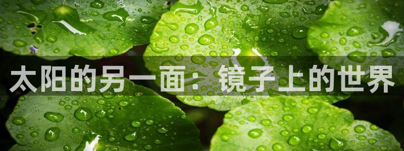 新宝5链接