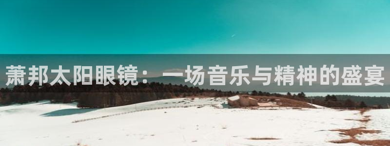 新宝5是什么样子的
