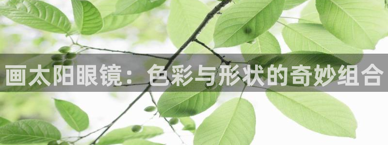 新宝5是谁