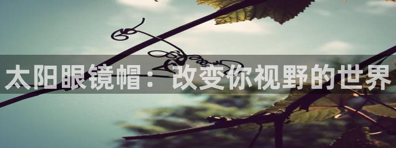 新宝5彩票娱乐平台