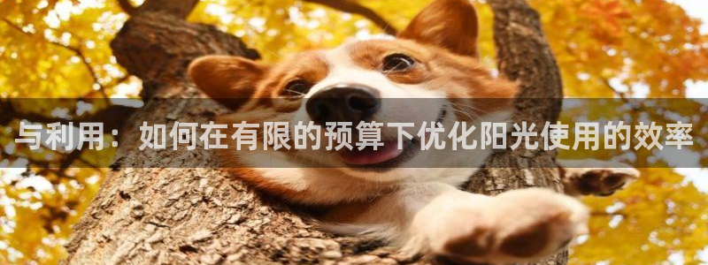 新宝奇迹GG5