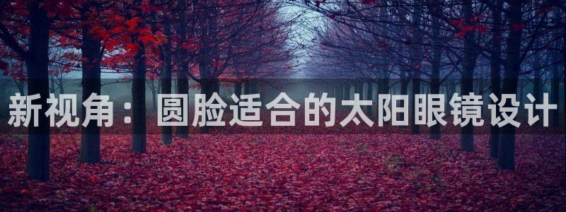 新宝5平台登陆