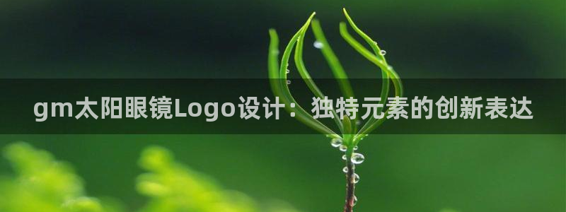 新宝股东张听2 5 5
