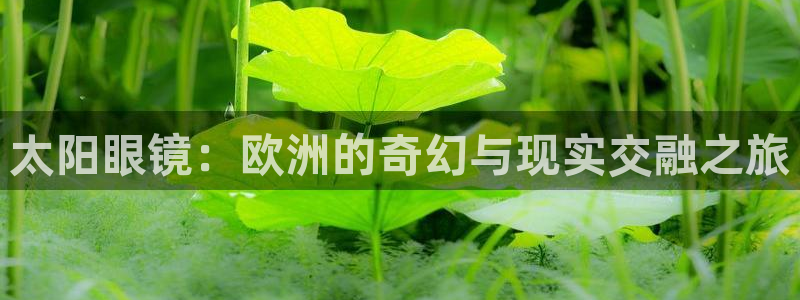 新宝5娱乐招商