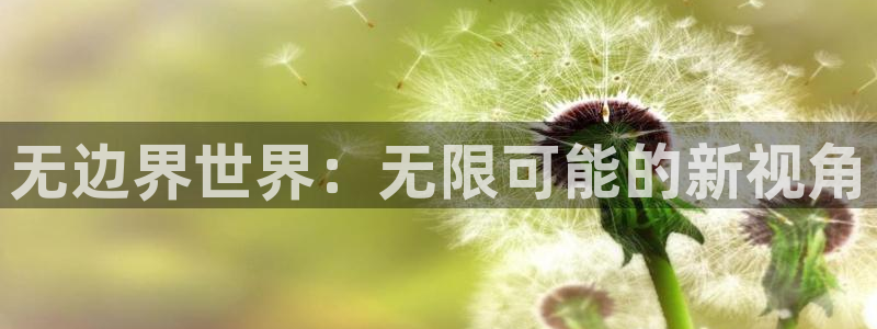 新宝5官网平台