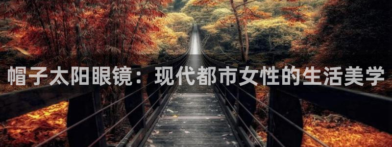 新宝5的网址