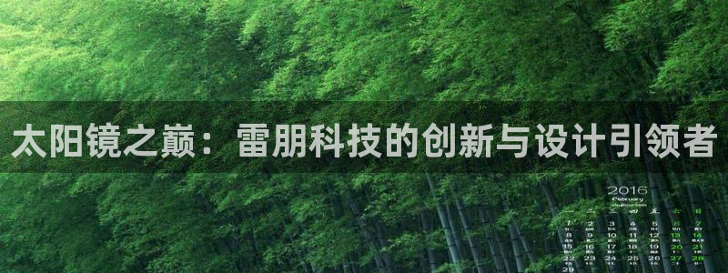新宝5是什么