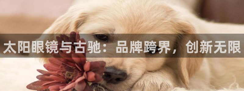 新宝5源码