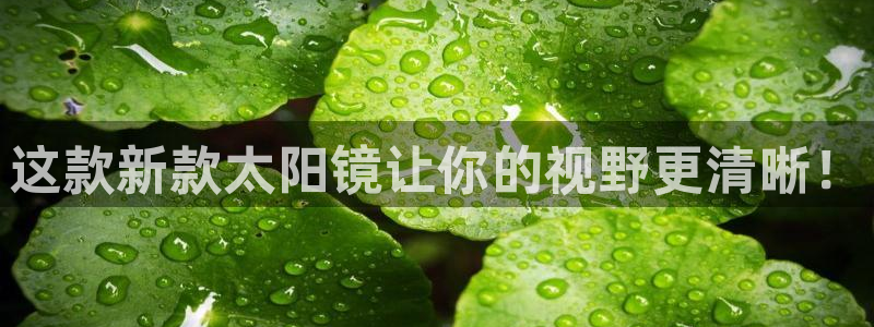 新宝5 代理
