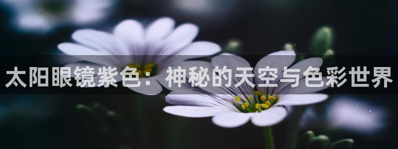 新宝5app手机下载