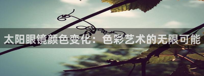 新宝5娱乐没