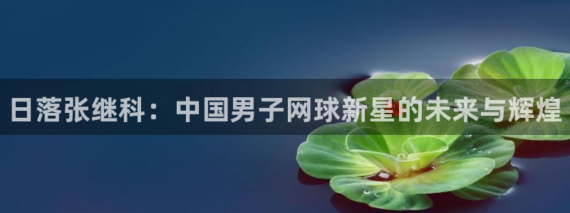 新宝5的网址