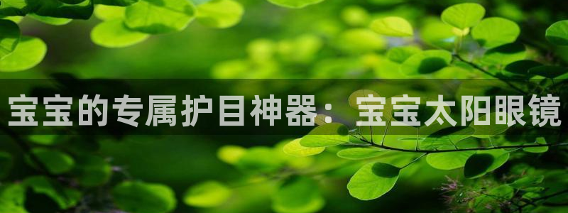 新宝5是什么