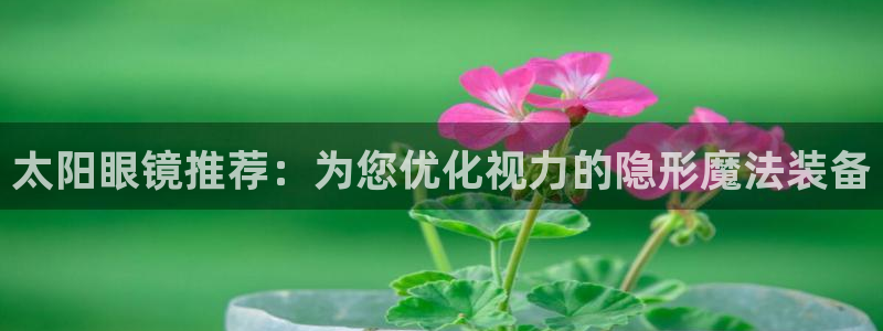 新宝5导师