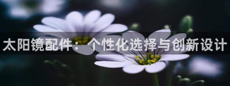 新宝5什么时候上市