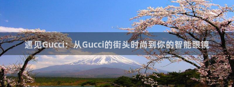 新宝5平台霸