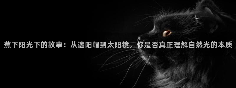 新宝5娱乐网址
