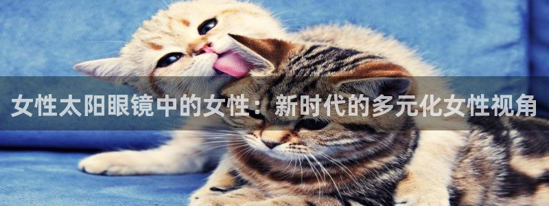 新宝奇迹GG5