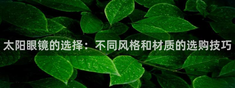 新宝5娱乐主管