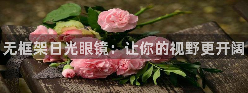 新宝5招商部