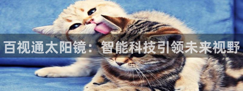 新宝5娱乐平台