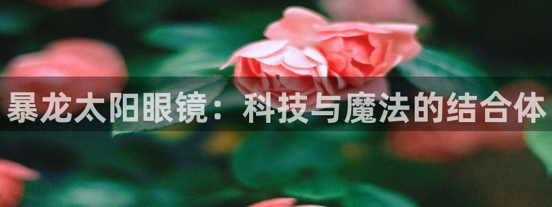 新宝5日