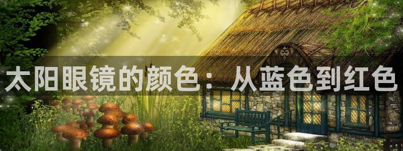 新宝5是什么
