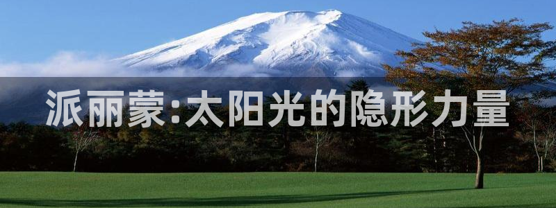 新宝5app手机下载