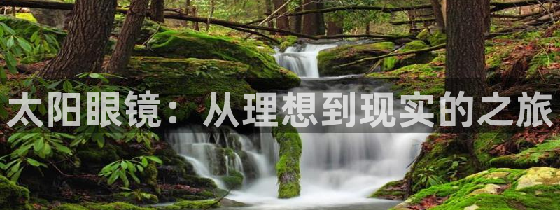 新宝堂新会陈皮5年