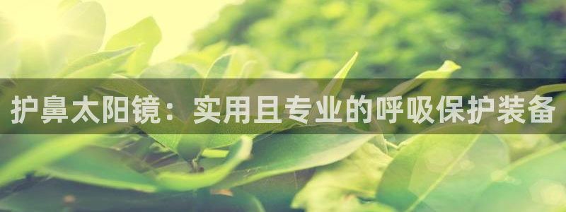 新宝5是谁的