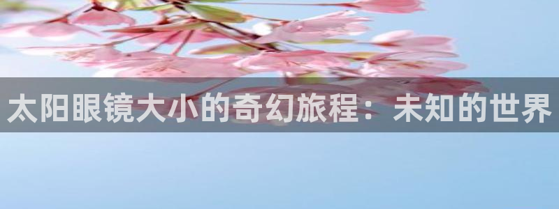 新5宝