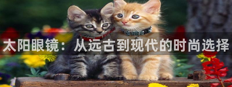 新宝5侹刔