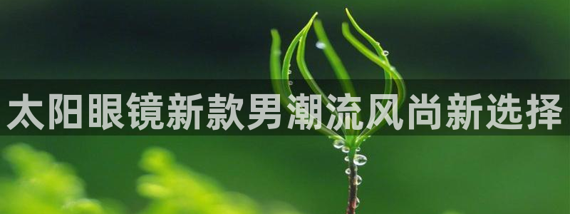 新宝5手机登陆
