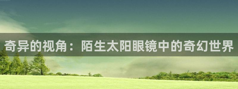 新宝5app手机下载