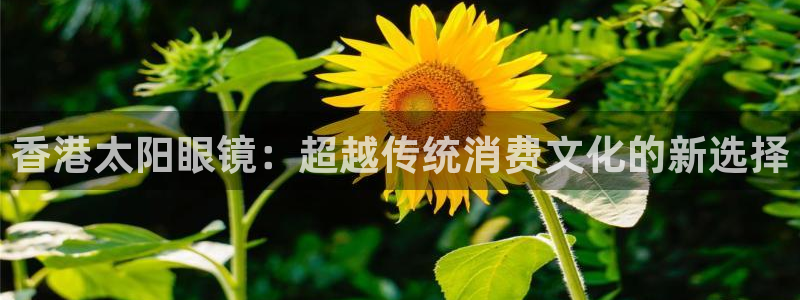 新宝股东张听2 5 5